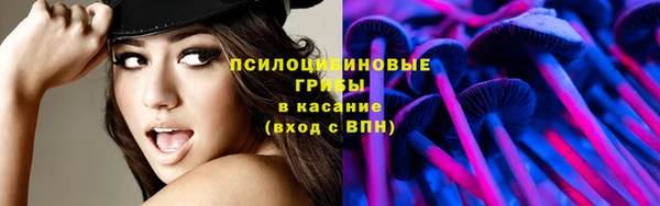 экстази Богородицк