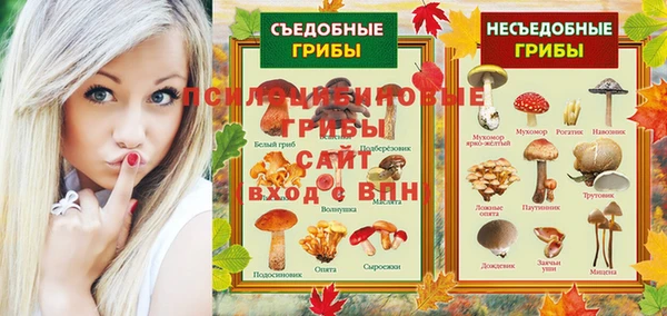 спайс Богородск