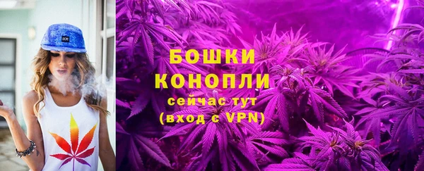 таблы Белокуриха