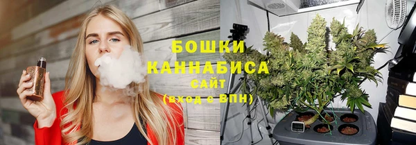 сатива Балабаново
