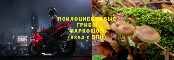 таблы Белокуриха