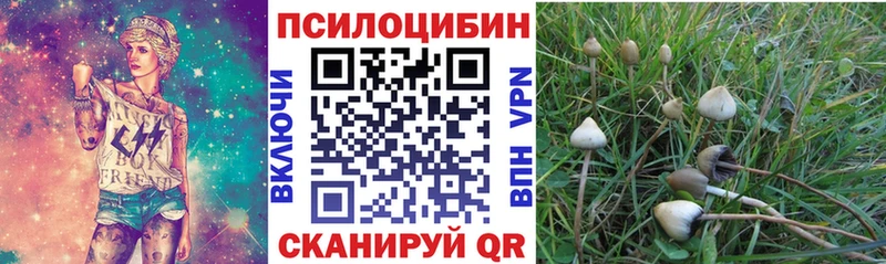 Псилоцибиновые грибы ЛСД  Будённовск 